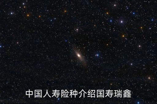 中國(guó)人壽險(xiǎn)種介紹國(guó)壽瑞鑫