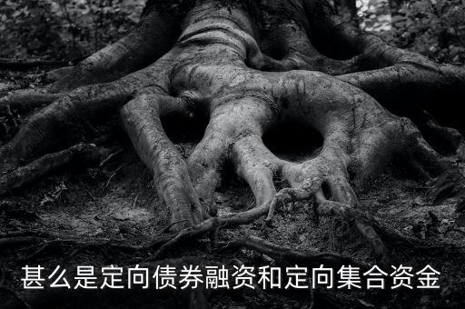 甚么是定向債券融資和定向集合資金