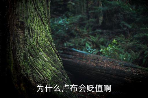 為什么盧布會(huì)貶值啊