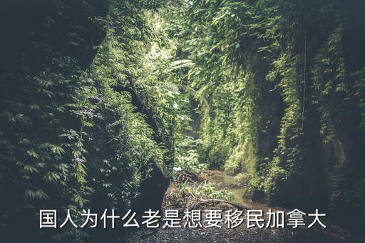 國人為什么老是想要移民加拿大