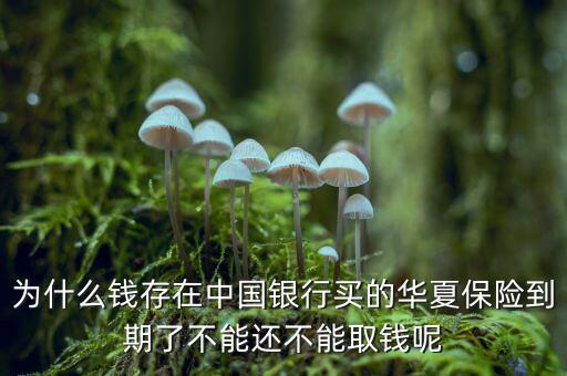 為什么錢存在中國(guó)銀行買的華夏保險(xiǎn)到期了不能還不能取錢呢