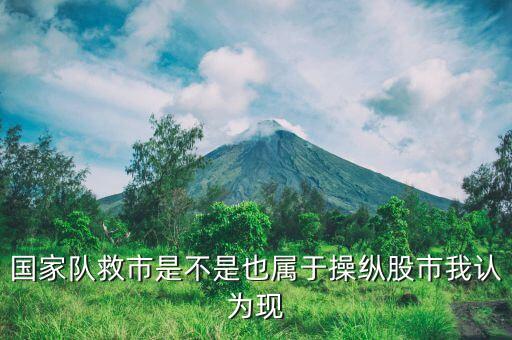 國(guó)家隊(duì)救市指的是什么，國(guó)家隊(duì)救市指的是什么