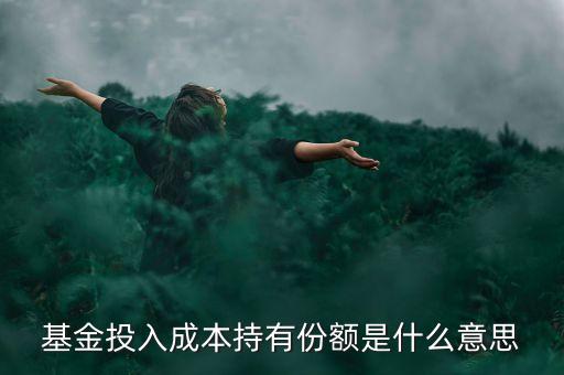 基金的持有份額是什么意思，基金份額是什么意思