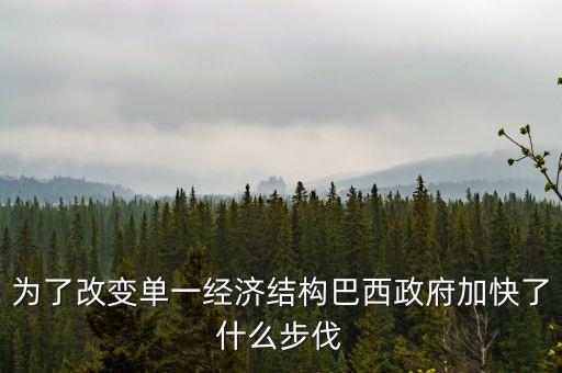 巴西2010年經(jīng)濟為什么增長這么快，為了改變單一經(jīng)濟結(jié)構(gòu)巴西政府加快了什么步伐