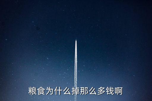糧食為什么掉那么多錢(qián)啊