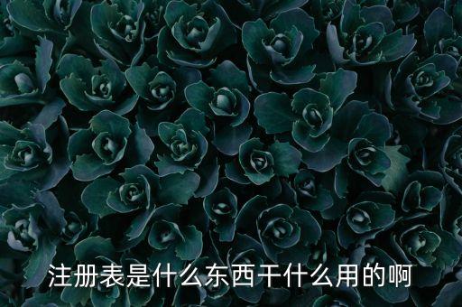 注冊(cè)表是什么東西干什么用的啊