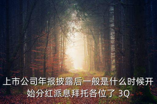 上市公司年報(bào)披露后一般是什么時(shí)候開始分紅派息拜托各位了 3Q