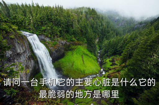 手機心臟是什么，手機心臟是你個什么類型的軟件