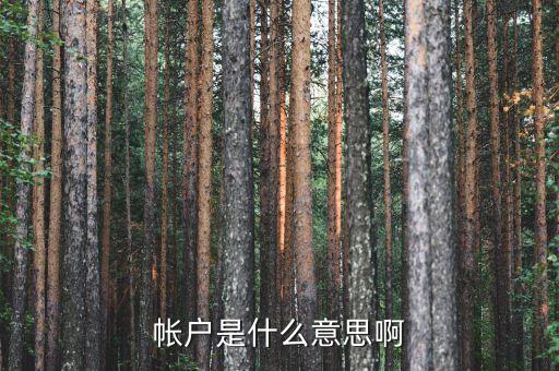 房地產(chǎn)預(yù)設(shè)帳戶是什么意思，房地產(chǎn)點(diǎn)訪是什么意思