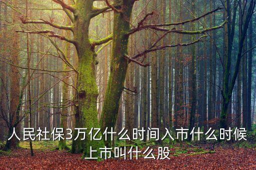 人民社保3萬億什么時間入市什么時候上市叫什么股