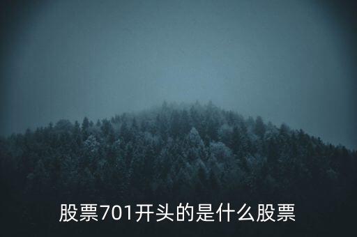 股票代碼207開頭的是什么，股票代碼207176是什么公司
