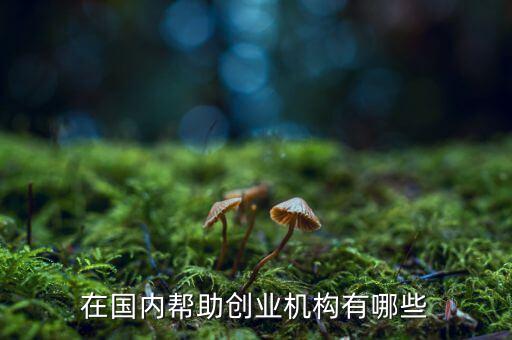 在國內(nèi)幫助創(chuàng)業(yè)機(jī)構(gòu)有哪些