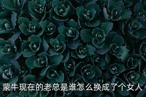 蒙?，F(xiàn)在的老總是誰怎么換成了個女人