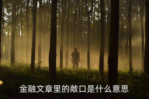 金融文章里的敞口是什么意思