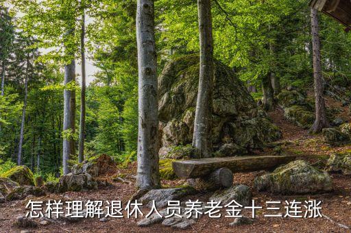 怎樣理解退休人員養(yǎng)老金十三連漲