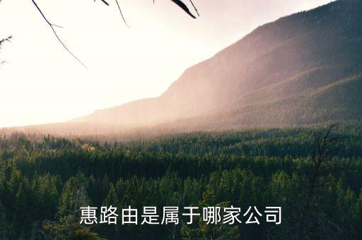 optiver是什么公司，惠路由是屬于哪家公司