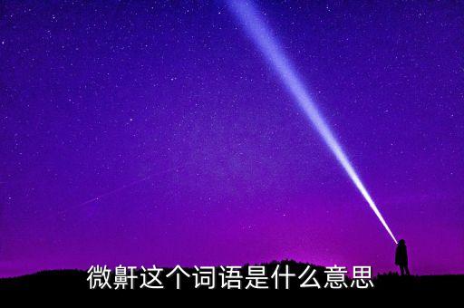 微鼾這個(gè)詞語(yǔ)是什么意思