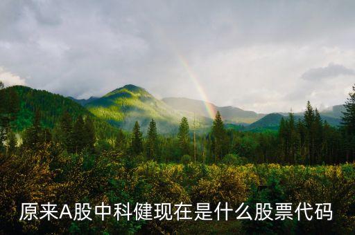 300267是什么股票，股票代碼300開頭是什么股票