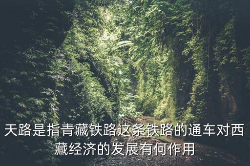 西藏天路是做什么的，西藏天路是干什么的單位啊