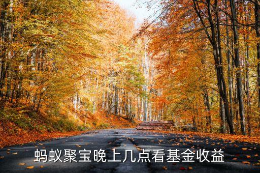 螞蟻聚寶晚上幾點(diǎn)看基金收益