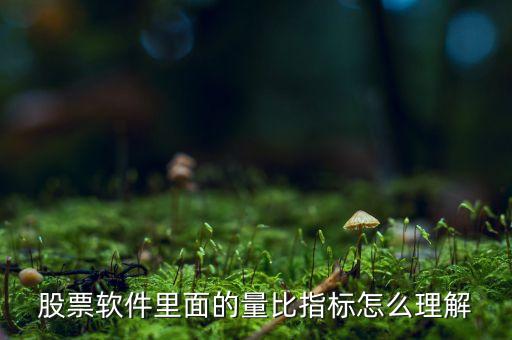 股票軟件里面的量比指標(biāo)怎么理解