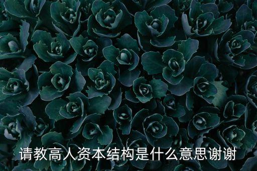 資本結(jié)構(gòu)彈性是什么，資本產(chǎn)出彈性是什么 勞動產(chǎn)出彈性是什么