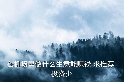 依靠機場做什么生意，機場旁可以做什么生意