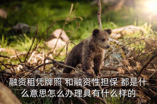 為什么內(nèi)資融資租賃牌照，你好很高興看到你對(duì)融資租賃方面的答案我想開(kāi)一家融資租賃公
