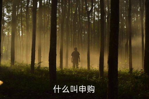 打新申購什么意思，什么叫申購