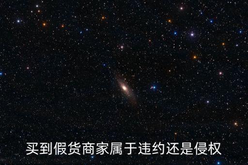 假進(jìn)口商家承擔(dān)什么責(zé)任，商家銷售假冒商品市場(chǎng)管理方要承擔(dān)多大的管理責(zé)任所在經(jīng)營(yíng)地的