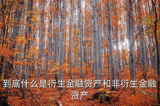 非衍生金融資產(chǎn)什么意思，到底什么是衍生金融資產(chǎn)和非衍生金融資產(chǎn)