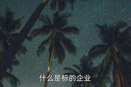 什么是標(biāo)的企業(yè)