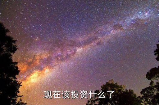 現(xiàn)在該投資什么了