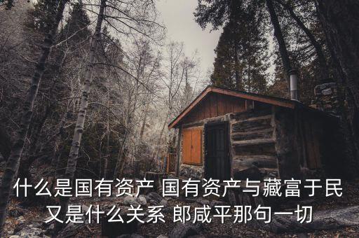 藏匯于民是什么意思，什么是國有資產(chǎn) 國有資產(chǎn)與藏富于民又是什么關(guān)系 郎咸平那句一切