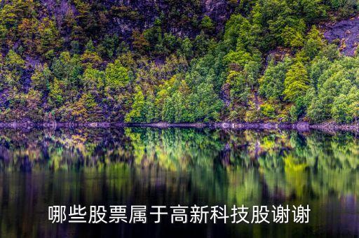 哪些股票屬于高新科技股謝謝