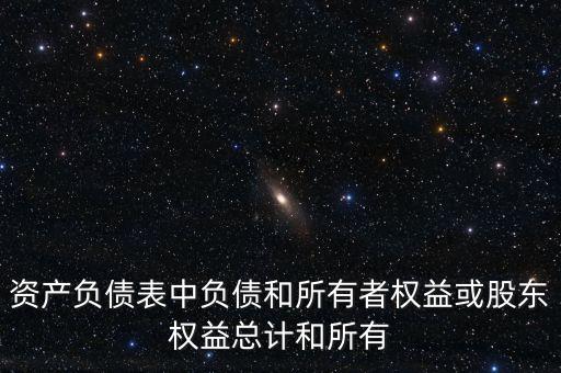 負債總計是什么意思，請問資產負債表資產總計和負債總計我期末數不等怎樣回事
