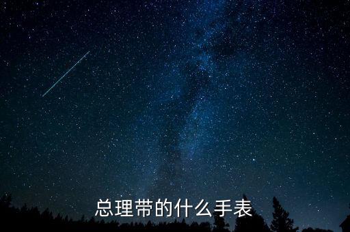 總理帶的什么手表