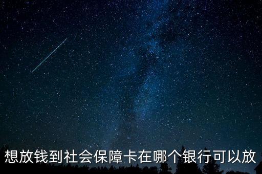 想放錢到社會(huì)保障卡在哪個(gè)銀行可以放