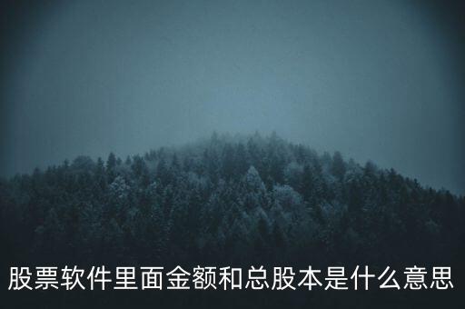股票軟件里的金額是什么意思，股票中的金額是啥意思