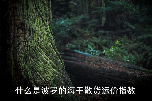 什么是波羅的海干散貨運價指數(shù)