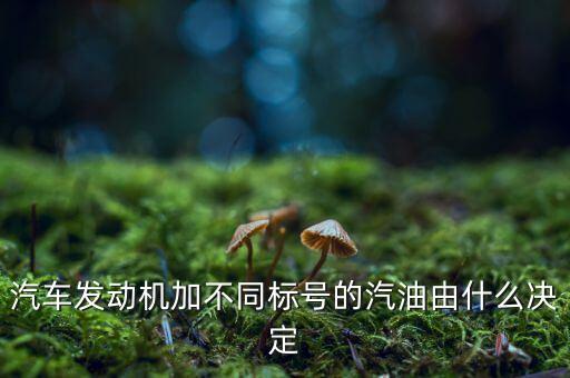 加多少號汽油什么決定，汽車加幾號油是由什么決定的是不是什么汽油都可以開