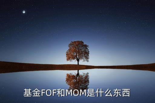 什么是mom基金，mom基金到底是個(gè)什么模式
