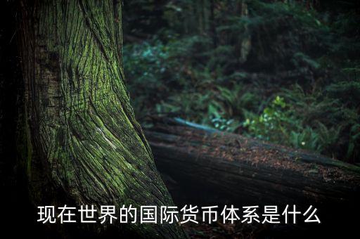 目前的國際體系是什么，當前國際秩序是怎樣的