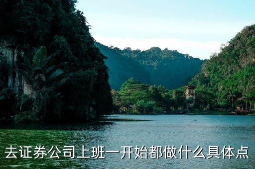 證券營(yíng)業(yè)部剛開(kāi)始做什么部門(mén)，證券營(yíng)業(yè)部的內(nèi)部設(shè)置包括哪些部門(mén)各有什么職責(zé)