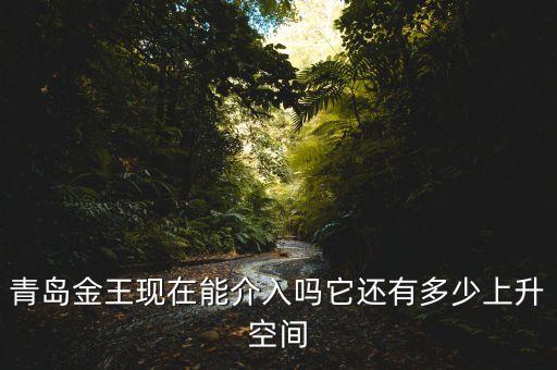 2015青島金王什么概念，青島金王現(xiàn)在能介入嗎它還有多少上升空間
