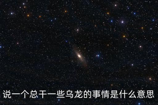說一個(gè)總干一些烏龍的事情是什么意思
