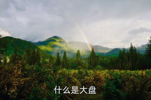 大盤驅(qū)動(dòng)機(jī)是什么，股市大盤斷路器是什么意思