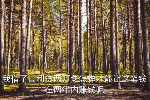 高利貸靠什么掙錢，我借了高利貸兩萬塊怎樣才能讓這筆錢在兩年內賺錢呢