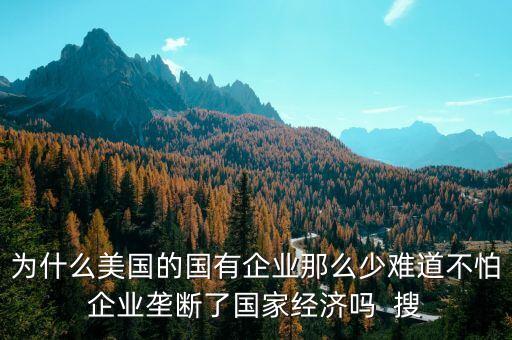 為什么美國國有企業(yè)這么少，為什么美國的國有企業(yè)那么少難道不怕企業(yè)壟斷了國家經(jīng)濟嗎  搜