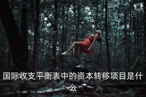 國際收支平衡表中的資本轉(zhuǎn)移項目是什么